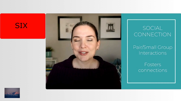 Social Connection in Virtual Meetings
